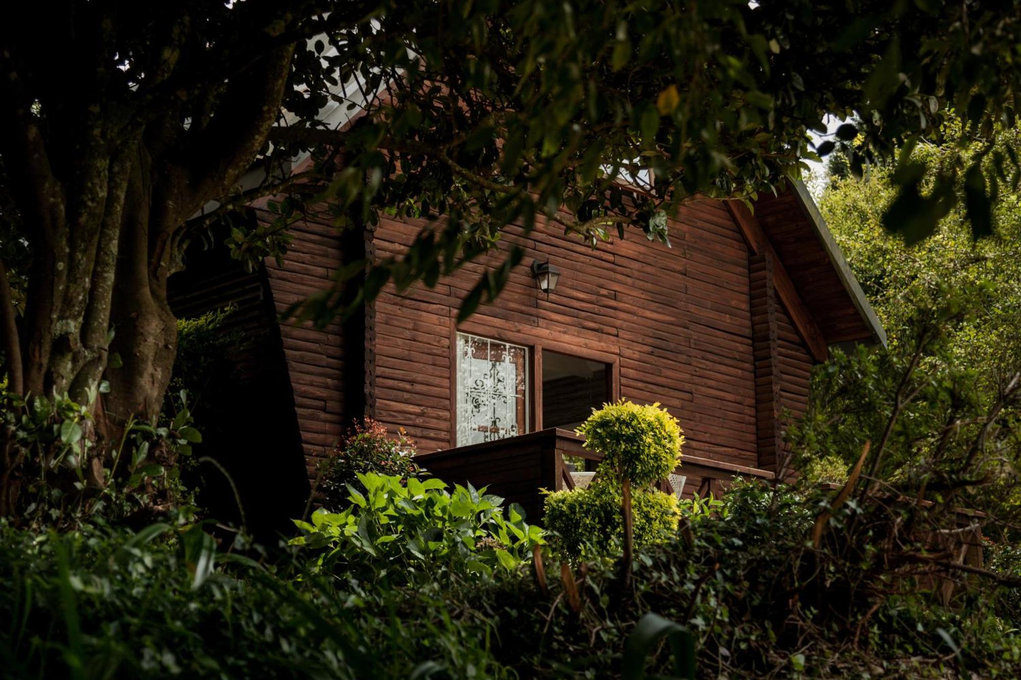 Viewpoint Estate Accommodation Haenertsburg Bagian luar foto